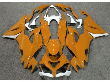 Naranja Brillante & Blanco 19-23 ZX6R Carenados Moto